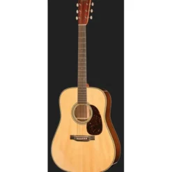 Martin Guitar HD28