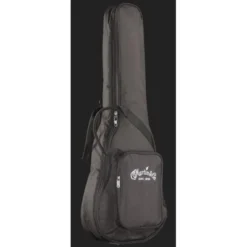 Martin Guitar LX1E