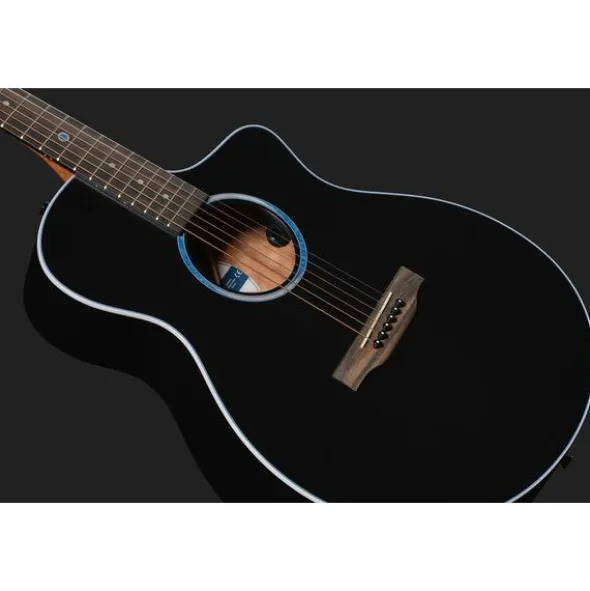 Martin Guitar SCE all Satin Black BS