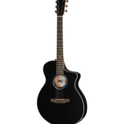 Martin Guitar SCE all Satin Black BS