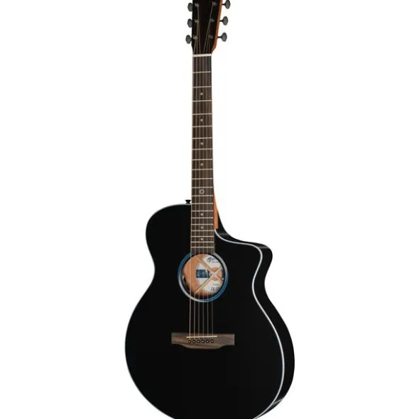 Martin Guitar SCE all Satin Black BS