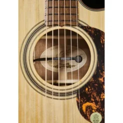 Maton EA80C