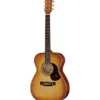 Maton EBG808 Nashville