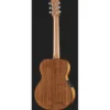 Maton EMBW6 Mini