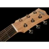 Maton Mini EM6 w/ Case
