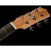 Maton RM-DNC