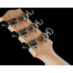 Maton RM-DNC