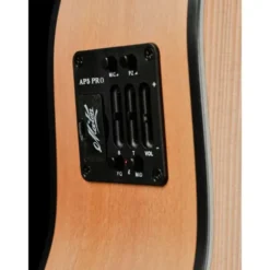 Maton RM-DNC