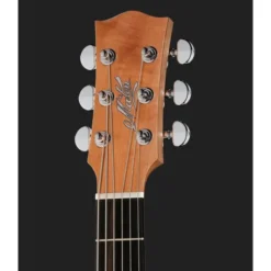 Maton RM-DNC