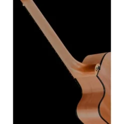 Maton RM-DNC