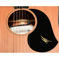 Maton RM-DNC