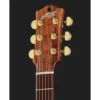 Maton The Australien EA-808