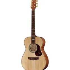 Maton The Australien EA-808