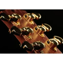 Maton The Australien EA-808