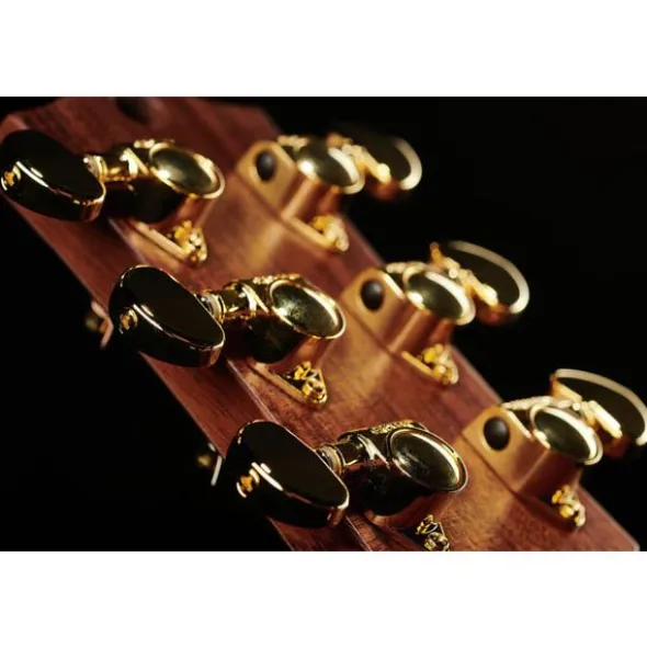 Maton The Australien EA-808