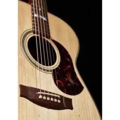 Maton The Australien EA-808