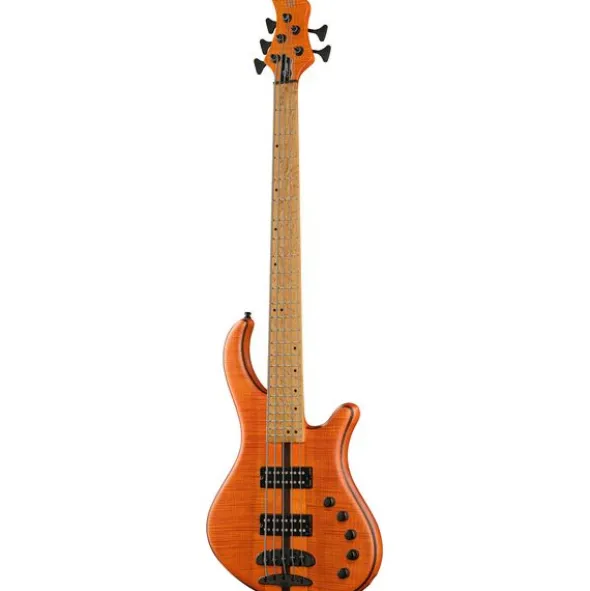 Mayones Guitars Patriot 5 Custom TOM