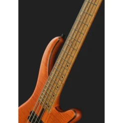 Mayones Guitars Patriot 5 Custom TOM