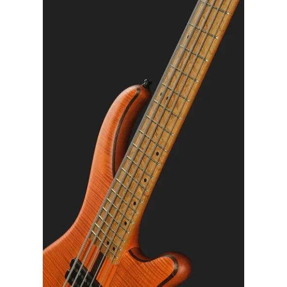 Mayones Guitars Patriot 5 Custom TOM