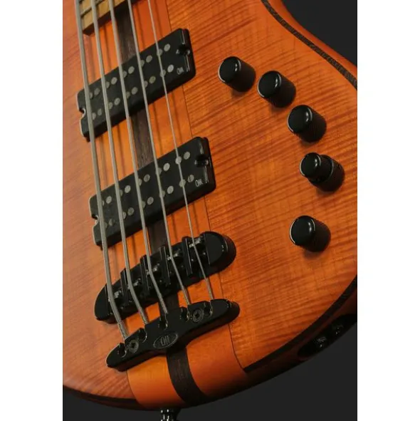 Mayones Guitars Patriot 5 Custom TOM