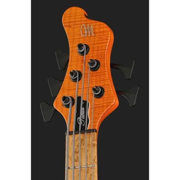 Mayones Guitars Patriot 5 Custom TOM