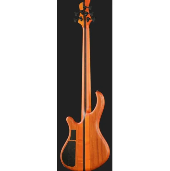 Mayones Guitars Patriot 5 Custom TOM