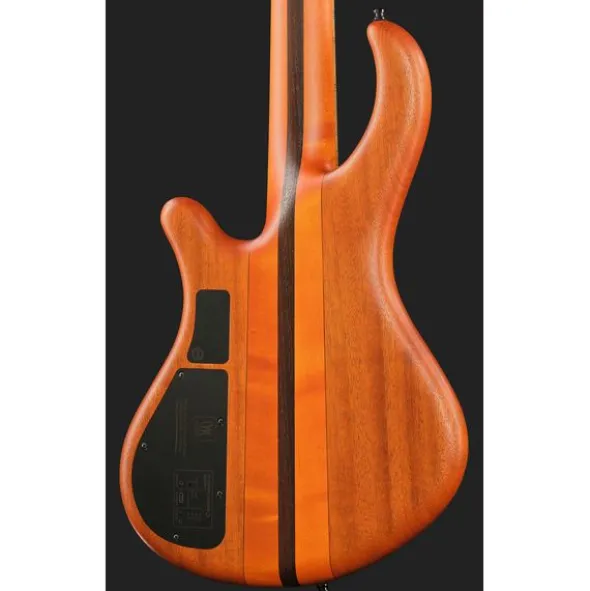 Mayones Guitars Patriot 5 Custom TOM