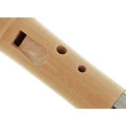 Meinel Cuckoo Call