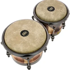 Meinl Artist Diego Gale Bongos