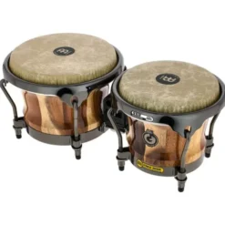 Meinl Artist Diego Gale Bongos