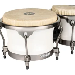 Meinl Artist Roberto Serrano Bongos
