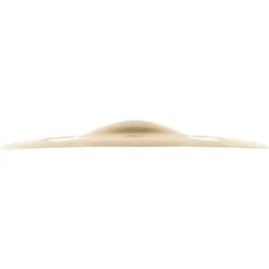 Meinl 10