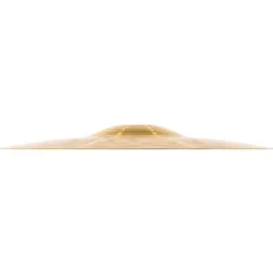 Meinl 10