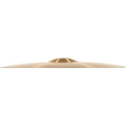 Meinl Pure Alloy 20" Medium Ride