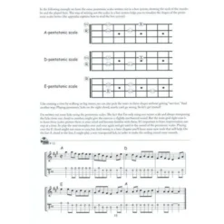 Mel Bay The Mandolin Picker's Guide