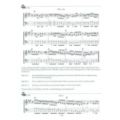 Mel Bay The Mandolin Picker's Guide