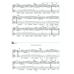 Mel Bay The Mandolin Picker's Guide