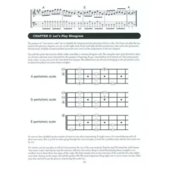 Mel Bay The Mandolin Picker's Guide