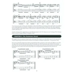 Mel Bay The Mandolin Picker's Guide