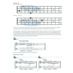 Mel Bay The Mandolin Picker's Guide