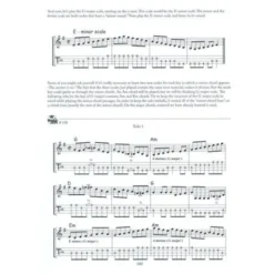 Mel Bay The Mandolin Picker's Guide