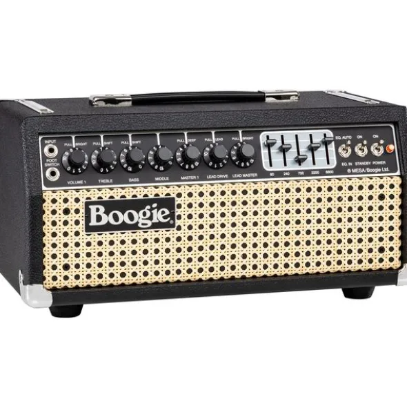 Mesa Boogie IIC+ HRG Head