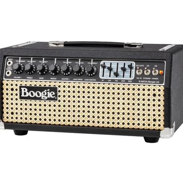 Mesa Boogie IIC+ HRG Head