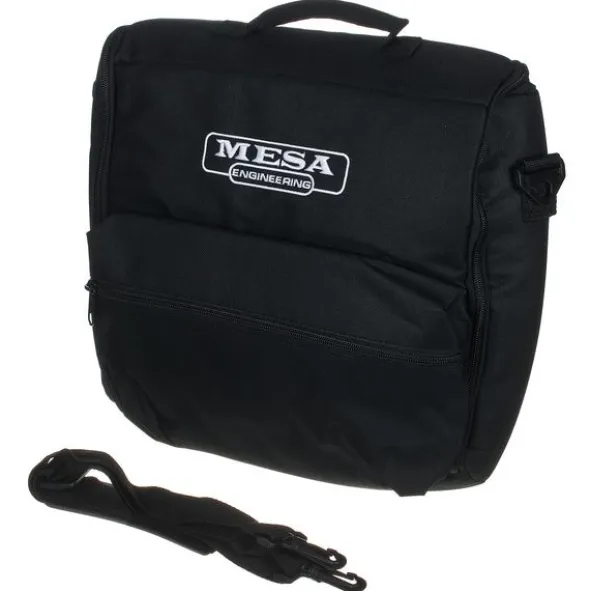 Mesa Boogie Subway TT-800