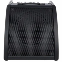 Millenium DM-30 Drum Monitor
