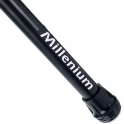 Millenium US-2010