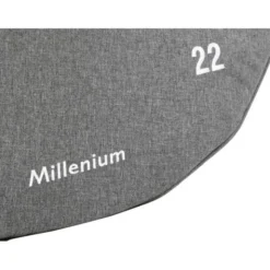 Millenium 22