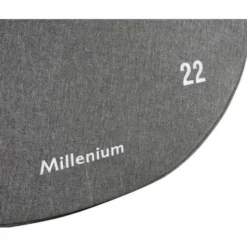 Millenium 22