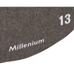 Millenium 13