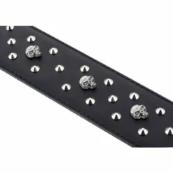 Minotaur R2 Rivet & Skull Strap